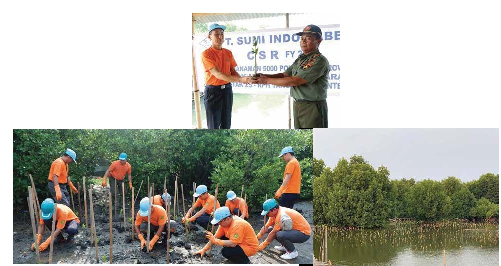 CSR - FY-2018 : Planting of Manggrove Trees
